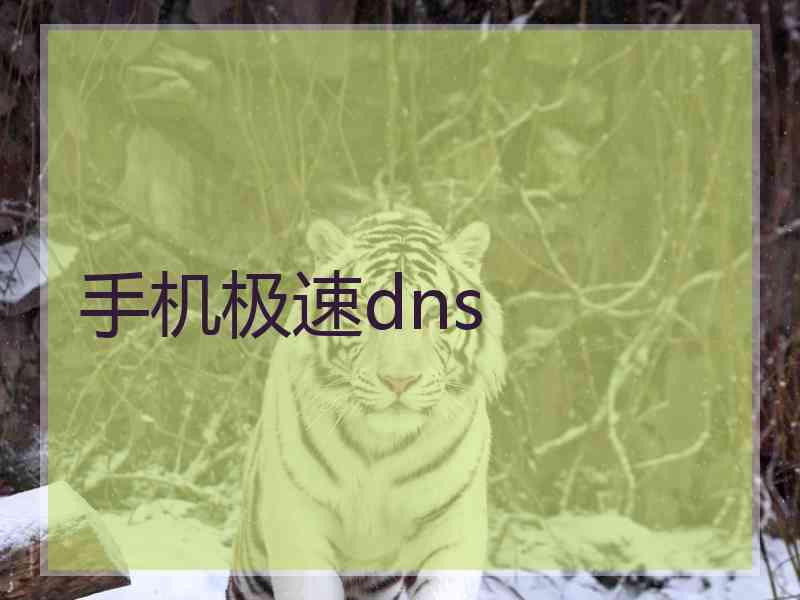 手机极速dns