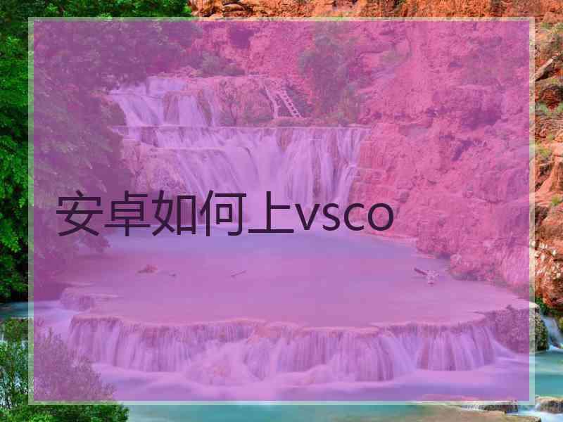 安卓如何上vsco