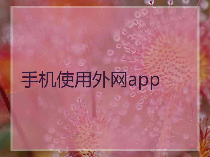 手机使用外网app