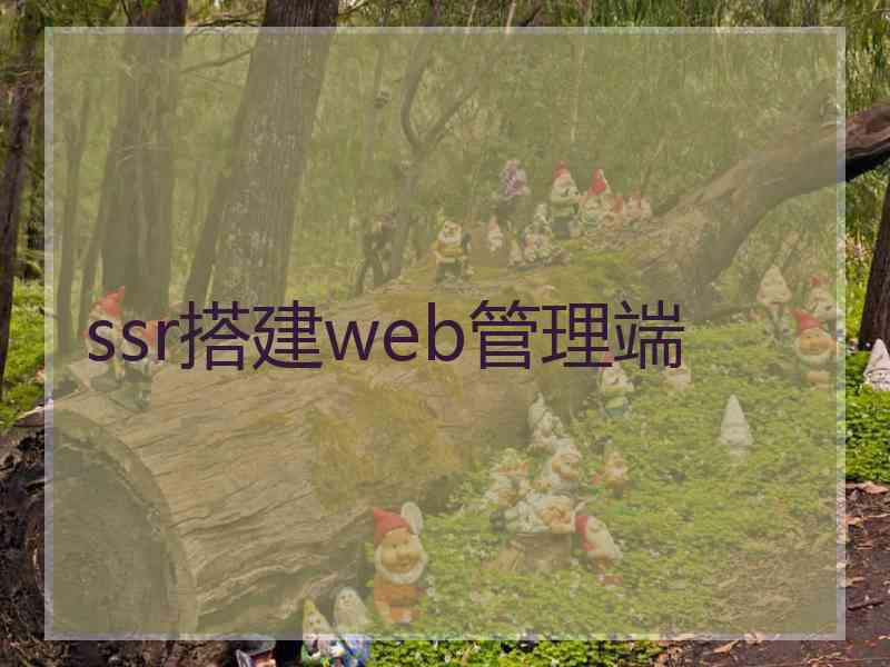 ssr搭建web管理端