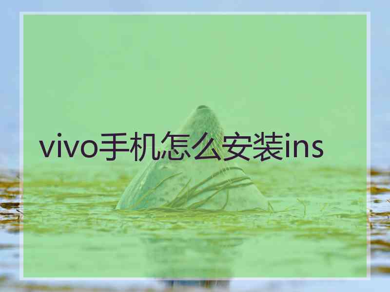 vivo手机怎么安装ins