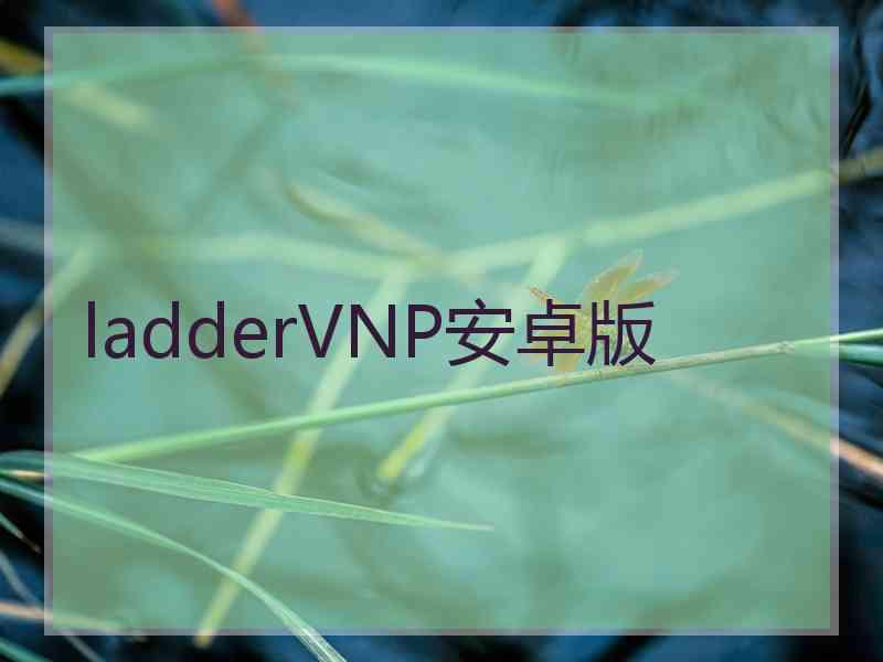 ladderVNP安卓版