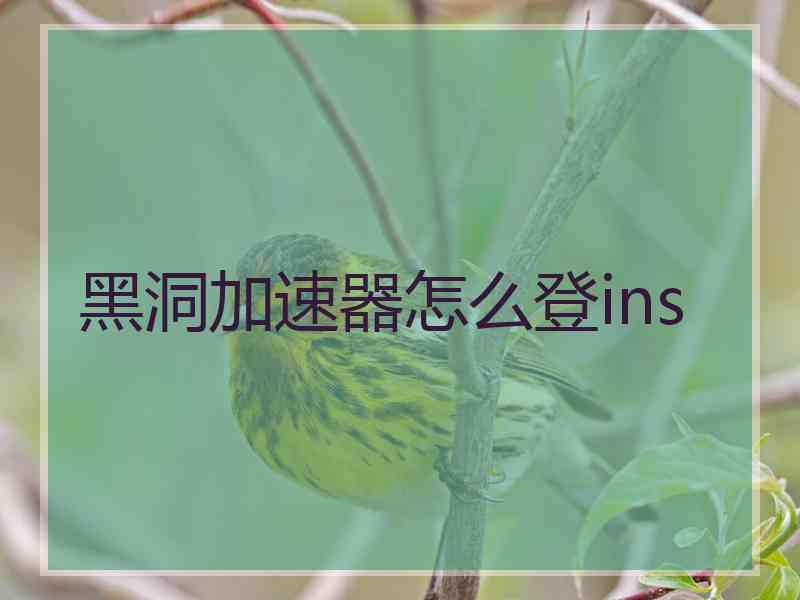 黑洞加速器怎么登ins