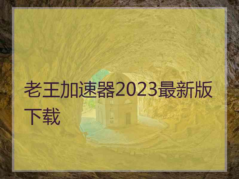 老王加速器2023最新版下载