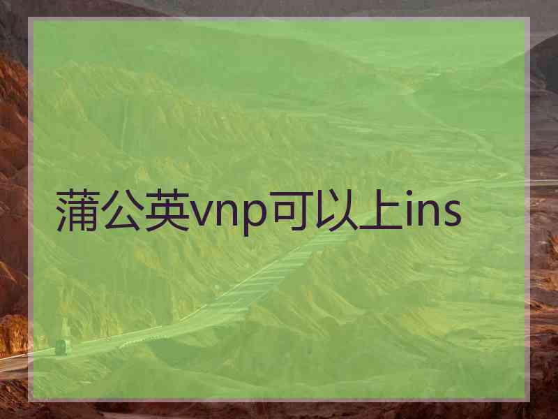 蒲公英vnp可以上ins