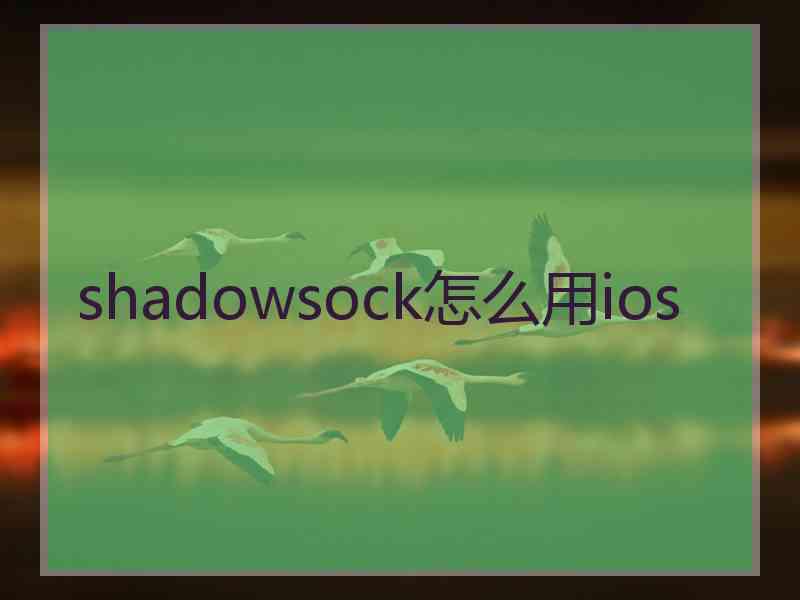 shadowsock怎么用ios