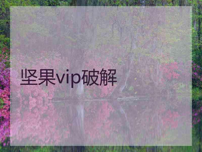 坚果vip破解