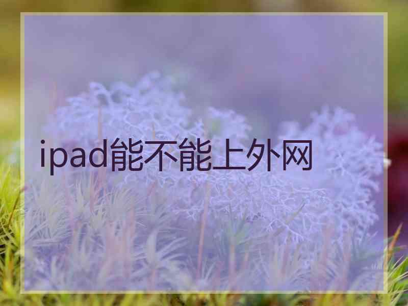 ipad能不能上外网