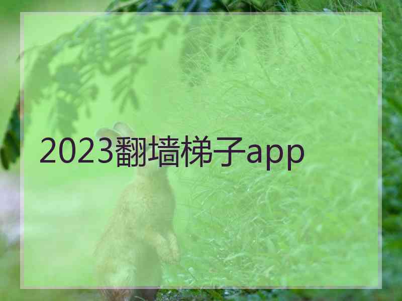 2023翻墙梯子app