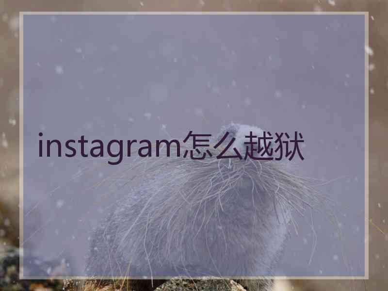 instagram怎么越狱