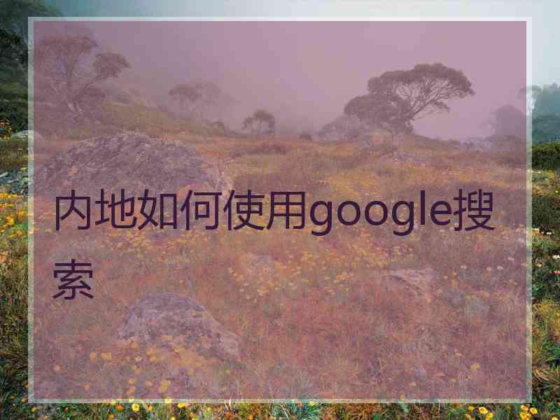 内地如何使用google搜索