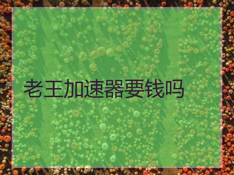 老王加速器要钱吗