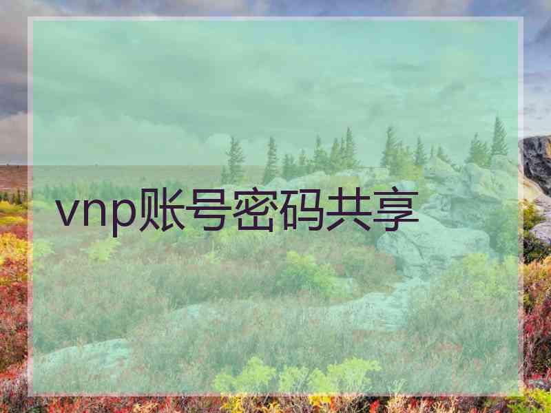 vnp账号密码共享