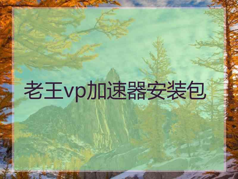 老王vp加速器安装包