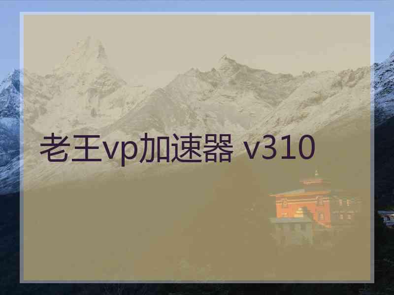 老王vp加速器 v310