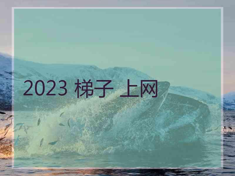 2023 梯子 上网