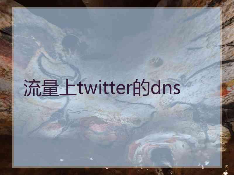 流量上twitter的dns