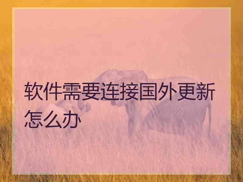 软件需要连接国外更新怎么办