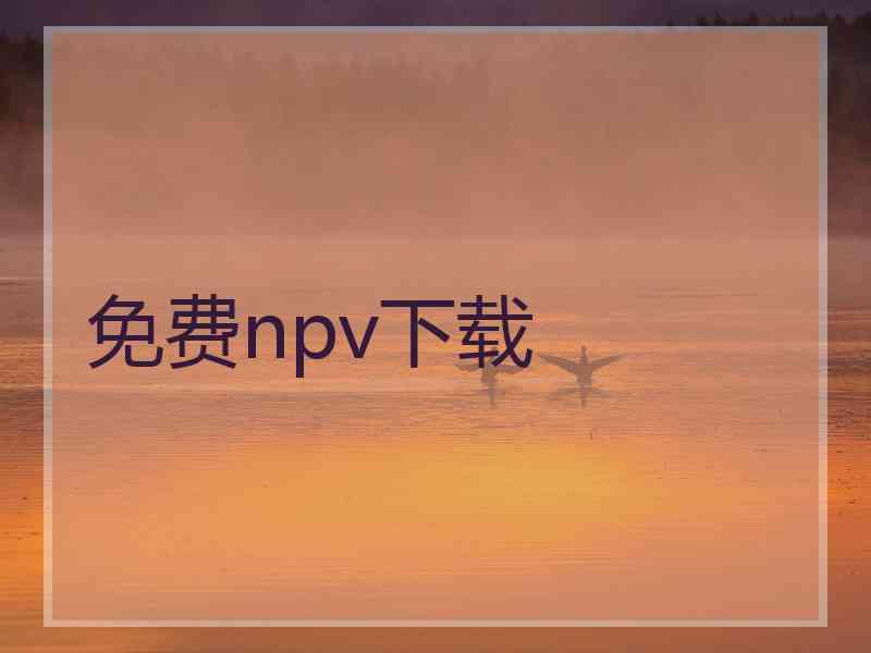 免费npv下载