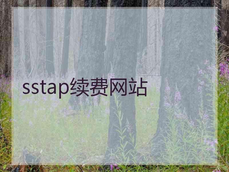 sstap续费网站