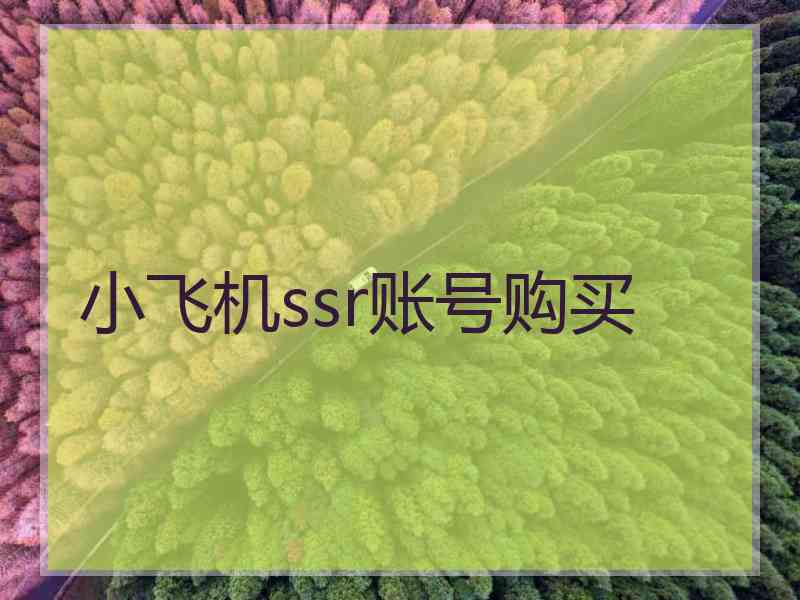 小飞机ssr账号购买