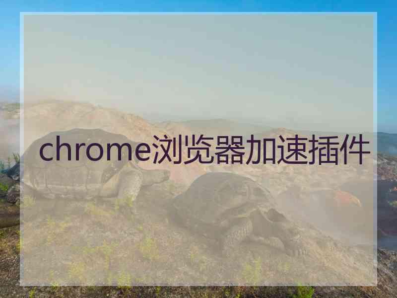 chrome浏览器加速插件