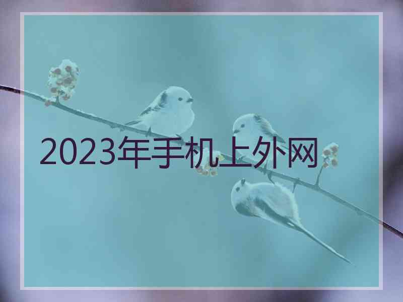 2023年手机上外网