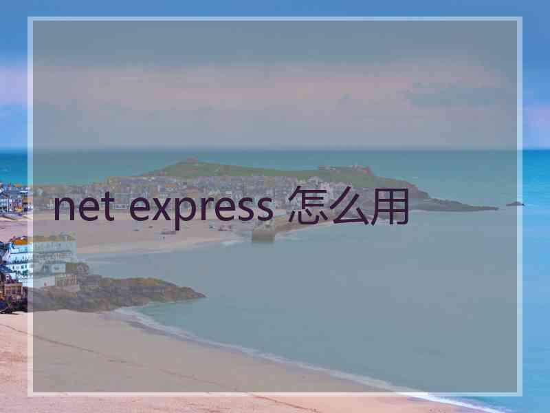 net express 怎么用