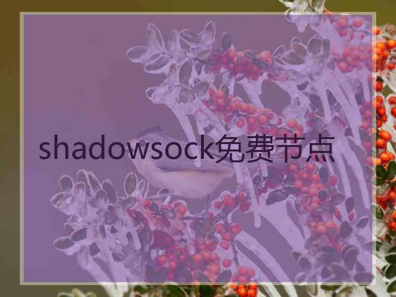 shadowsock免费节点