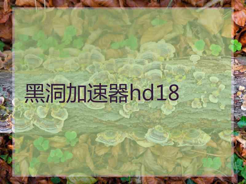 黑洞加速器hd18