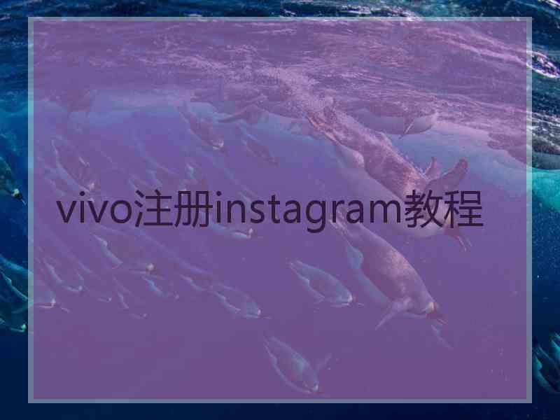 vivo注册instagram教程