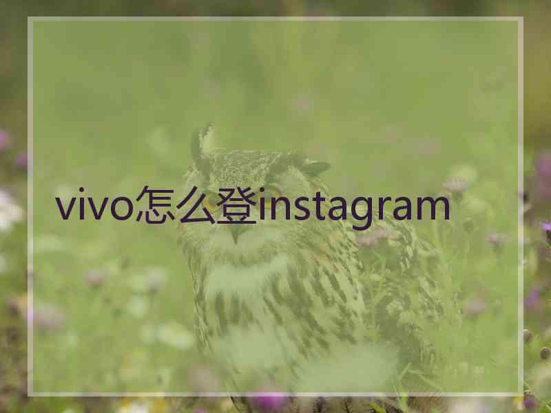 vivo怎么登instagram