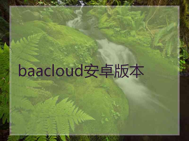 baacloud安卓版本