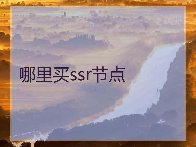 哪里买ssr节点