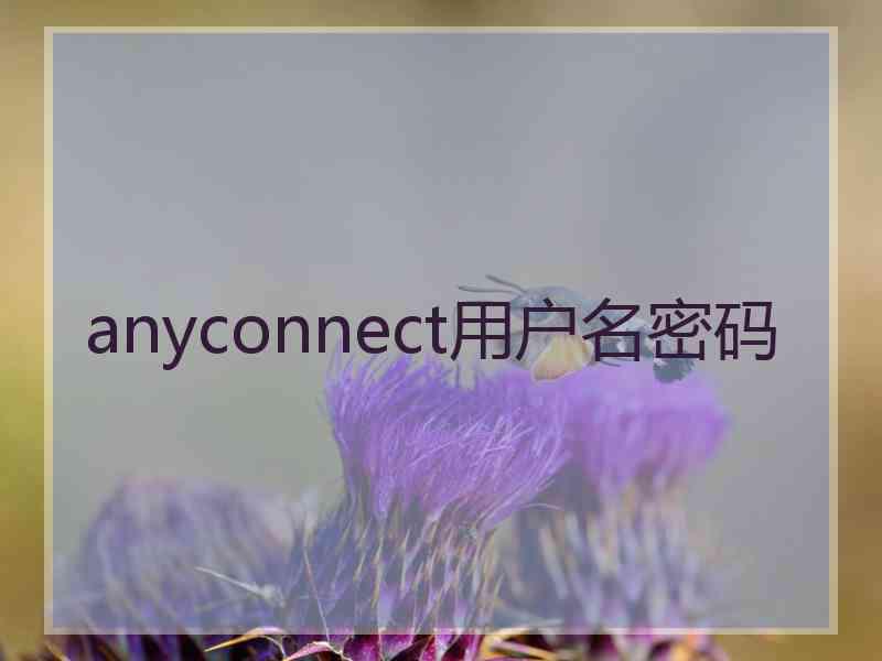 anyconnect用户名密码