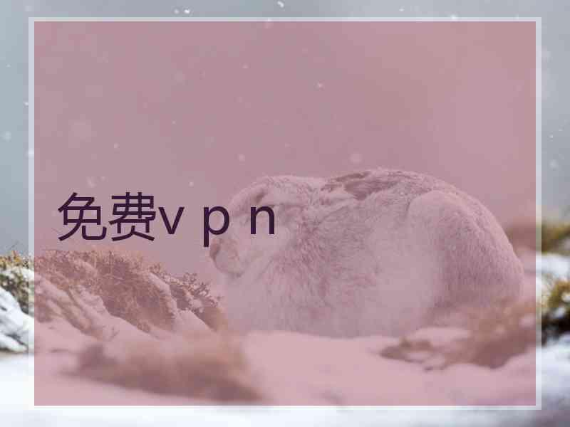 免费v p n