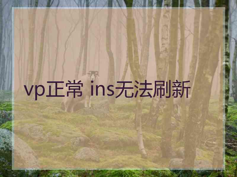 vp正常 ins无法刷新