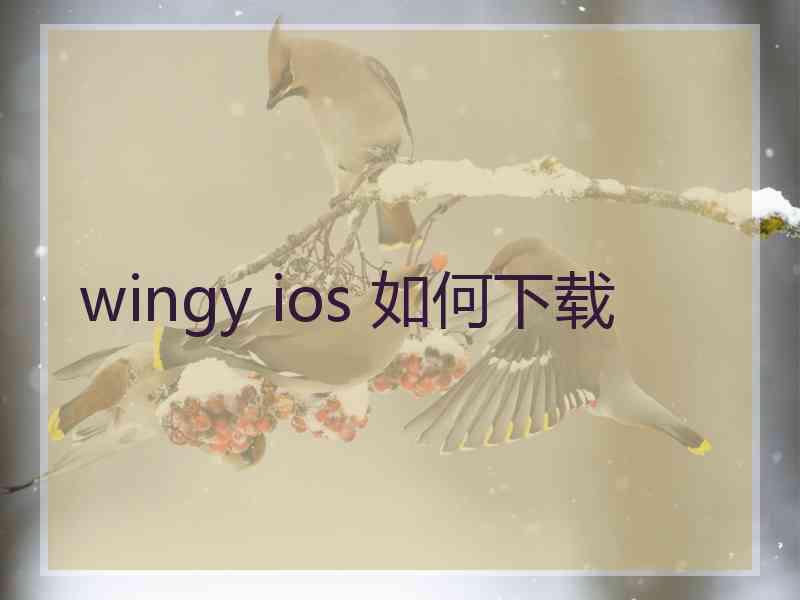 wingy ios 如何下载