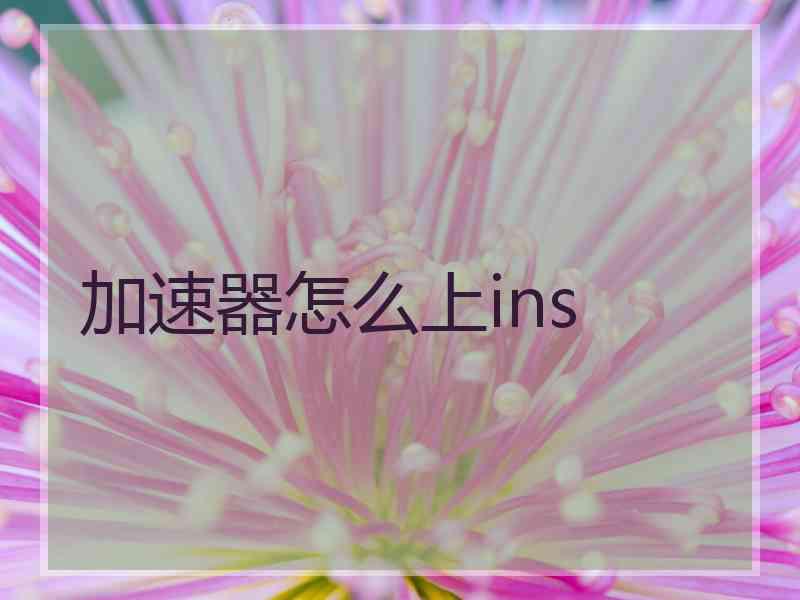 加速器怎么上ins