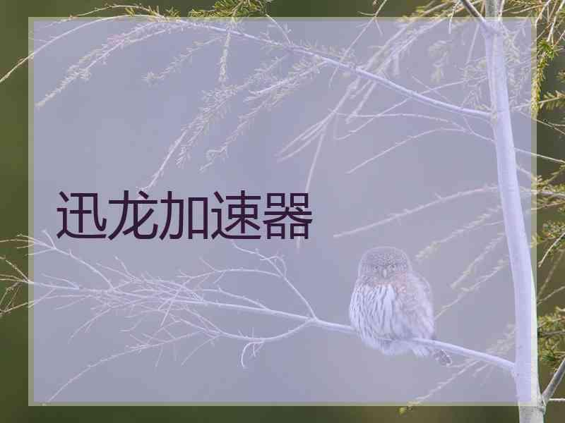 迅龙加速器