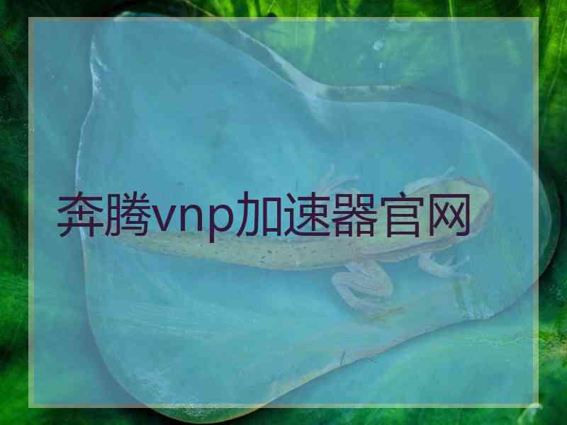 奔腾vnp加速器官网