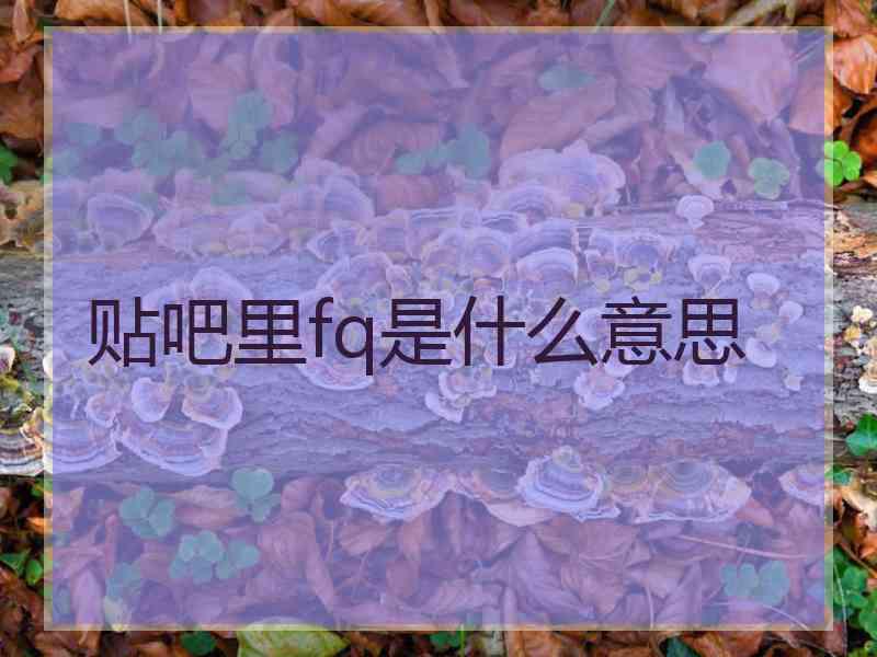 贴吧里fq是什么意思