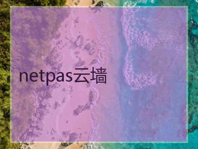 netpas云墙