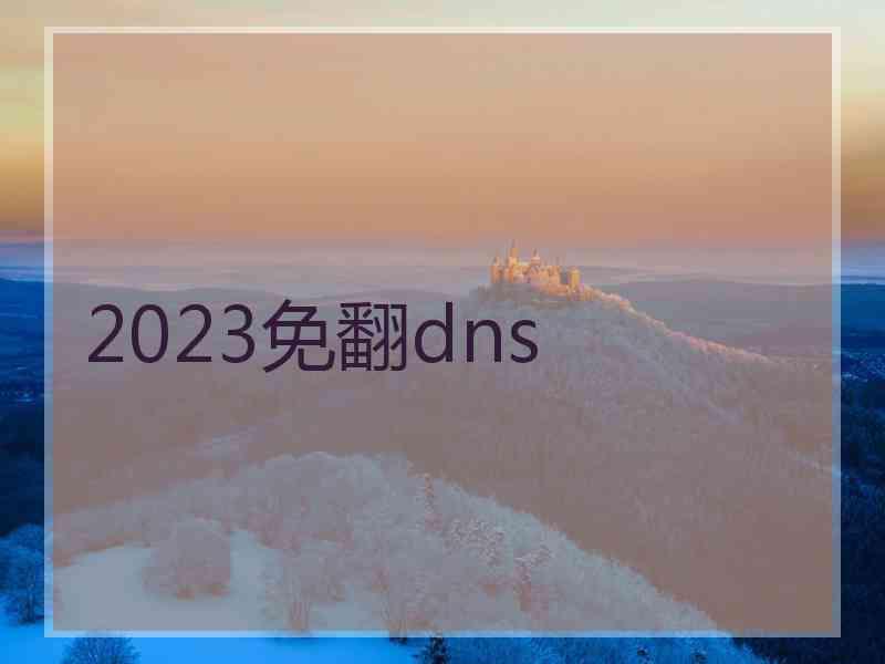 2023免翻dns