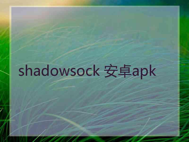 shadowsock 安卓apk