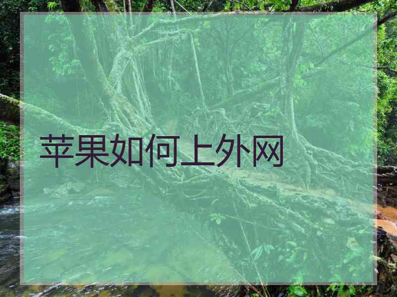 苹果如何上外网