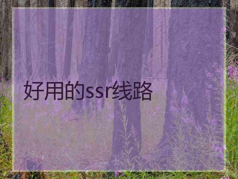 好用的ssr线路