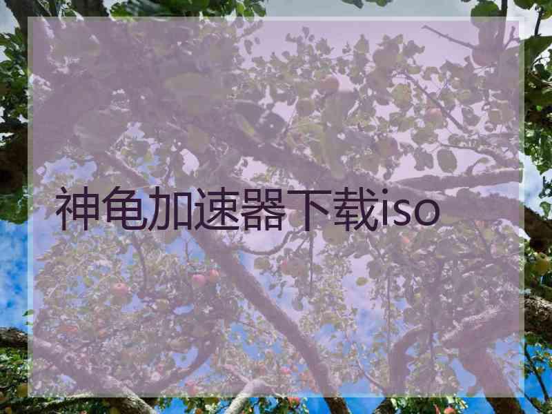 神龟加速器下载iso