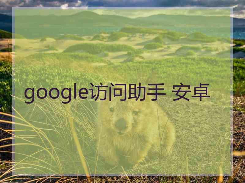 google访问助手 安卓