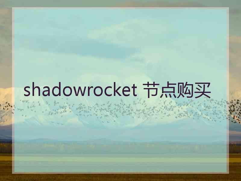 shadowrocket 节点购买